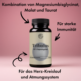 Tribulus terrestris (Erd-Burzeldorn) – 60 Kapseln, vegan